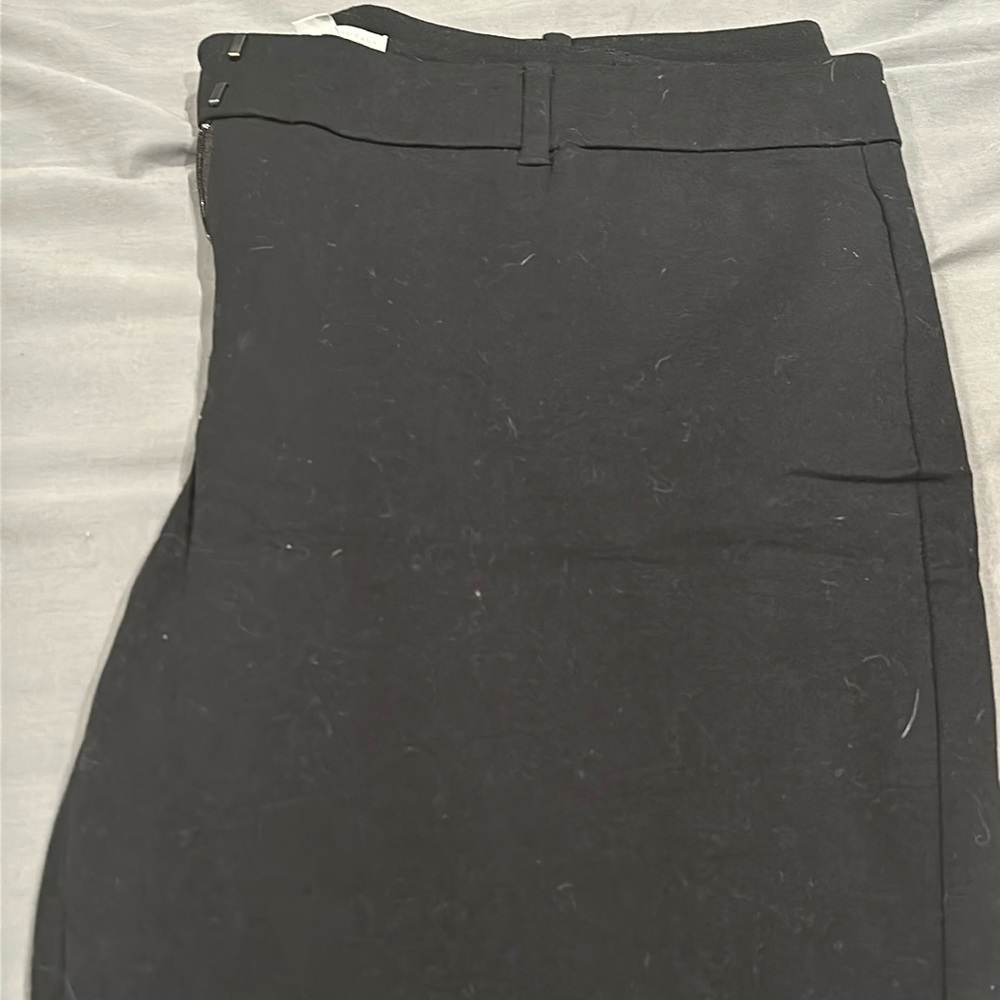 Dress Pants